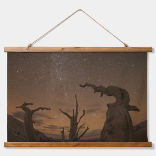 Ancient Bristlecone Pine Forest   California Hanging Tapestry