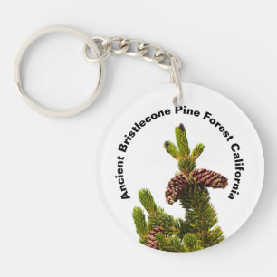 Ancient Bristlecone Pine Forest California Keychain