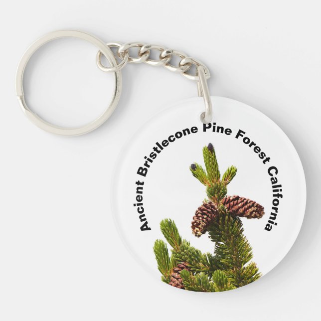 Ancient Bristlecone Pine Forest California Keychain (Front)