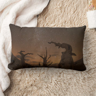 Ancient Bristlecone Pine Forest   California Lumbar Pillow