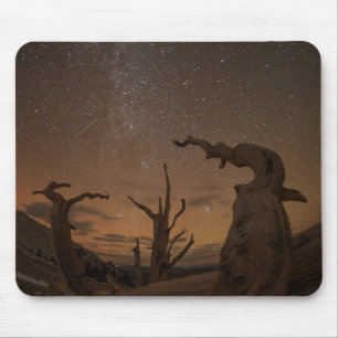 Ancient Bristlecone Pine Forest   California Mouse Pad