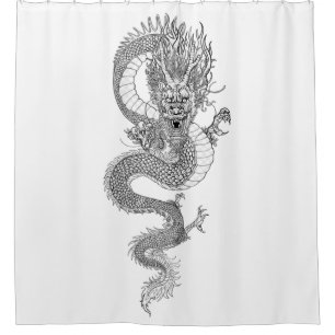 Ancient Chinese dragon 