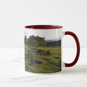 Ancient Dartmoor Settlement mug