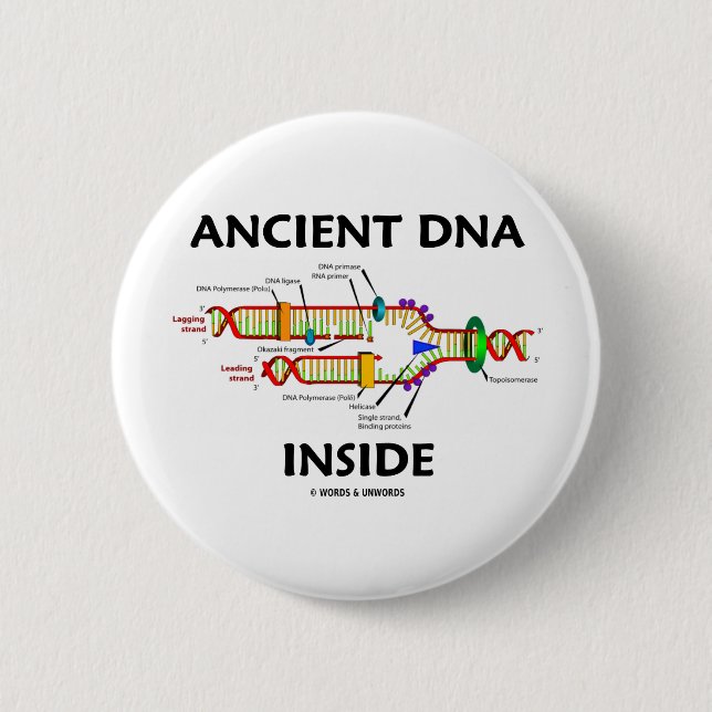 Ancient DNA Inside (DNA Replication Humour) 2 Inch Round Button (Front)