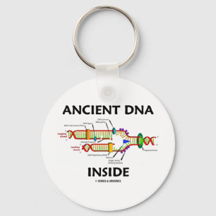 Ancient DNA Inside (DNA Replication Humour) Keychain