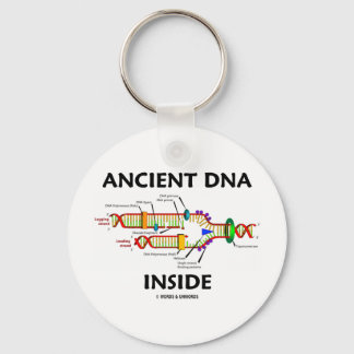 Ancient DNA Inside (DNA Replication Humour) Keychain