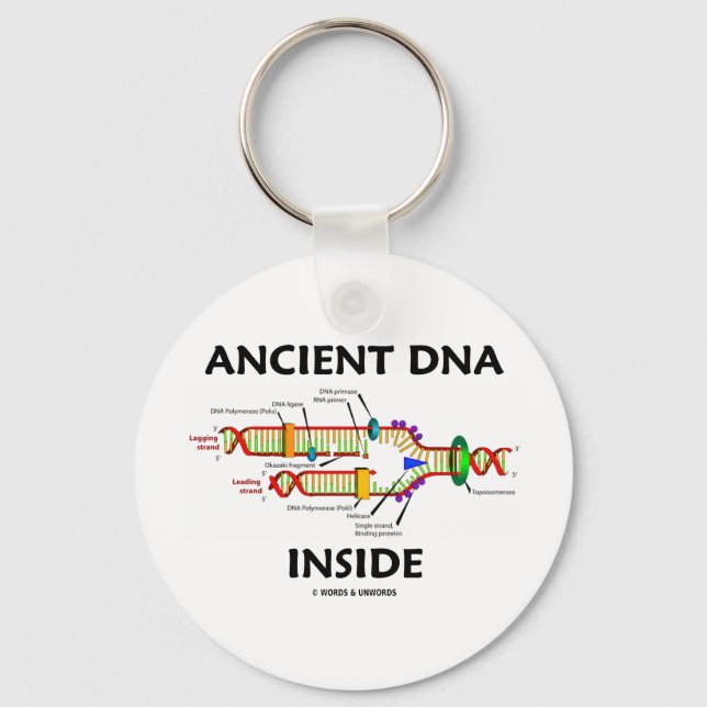 Ancient DNA Inside (DNA Replication Humour) Keychain (Front)