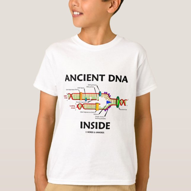 Ancient DNA Inside (DNA Replication Humour) T-Shirt (Front)