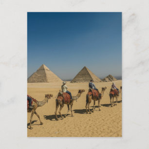Ancient Egypt pyramids desert Camel Ride Postcard