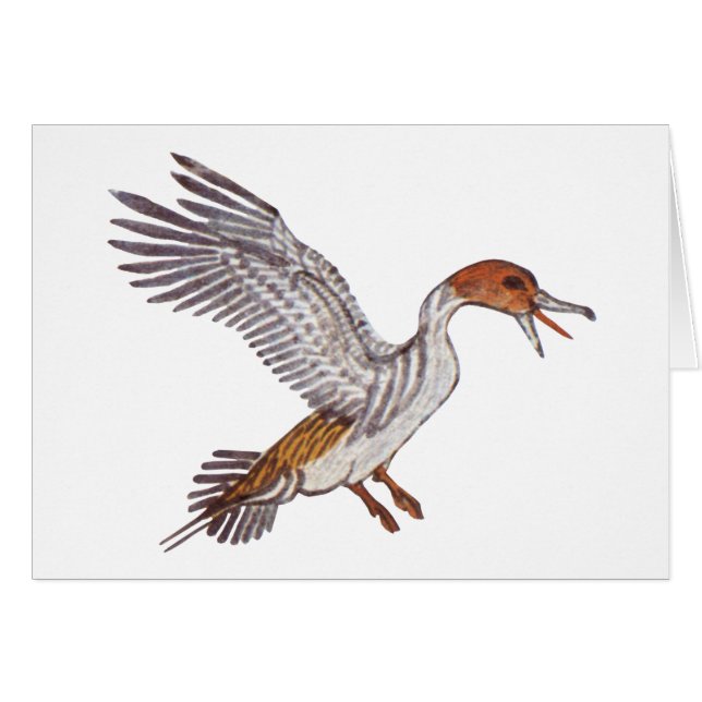 Ancient Egyptian Duck (Front Horizontal)