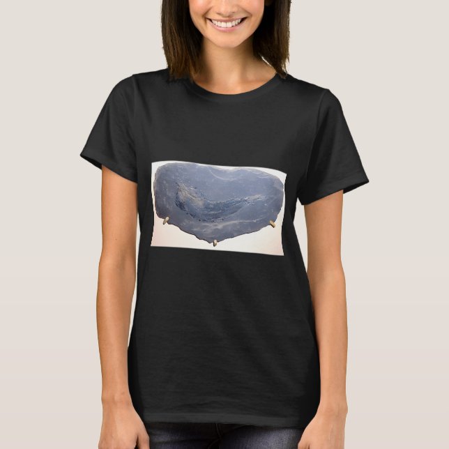 Ancient Fish Drawing T-Shirt (Front)