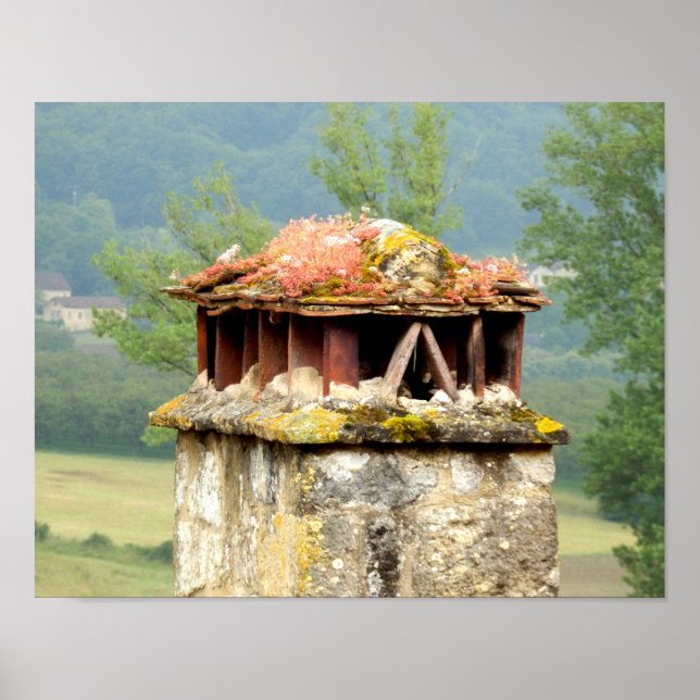Ancient French Chimney Poster (Front)