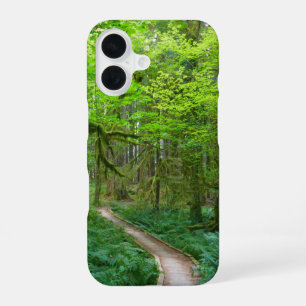 Ancient Groves Trail at Olympic National Park iPhone 16 Case