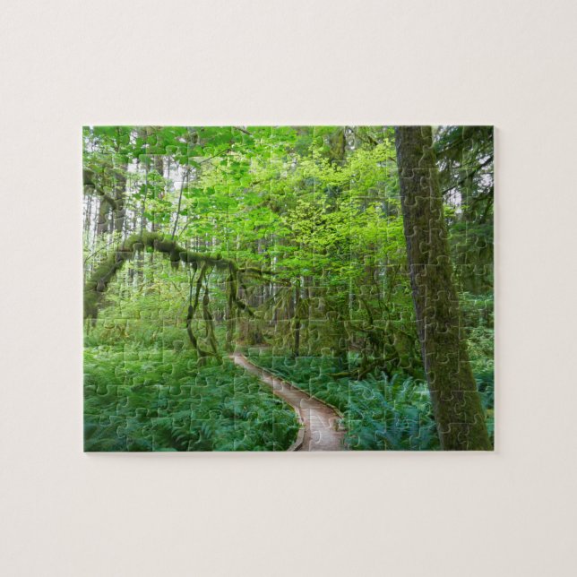 Ancient Groves Trail at Olympic National Park Jigsaw Puzzle (Horizontal)