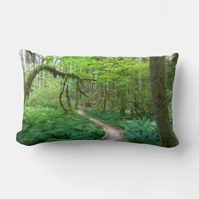 Ancient Groves Trail at Olympic National Park Lumbar Pillow (Front)