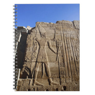 Ancient hieroglyphs on wall, Temple of Karnak, Notebook