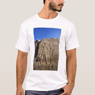 Ancient hieroglyphs on wall, Temple of Karnak, T-Shirt