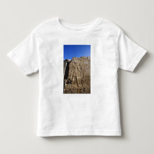 Ancient hieroglyphs on wall, Temple of Karnak, Toddler T-shirt