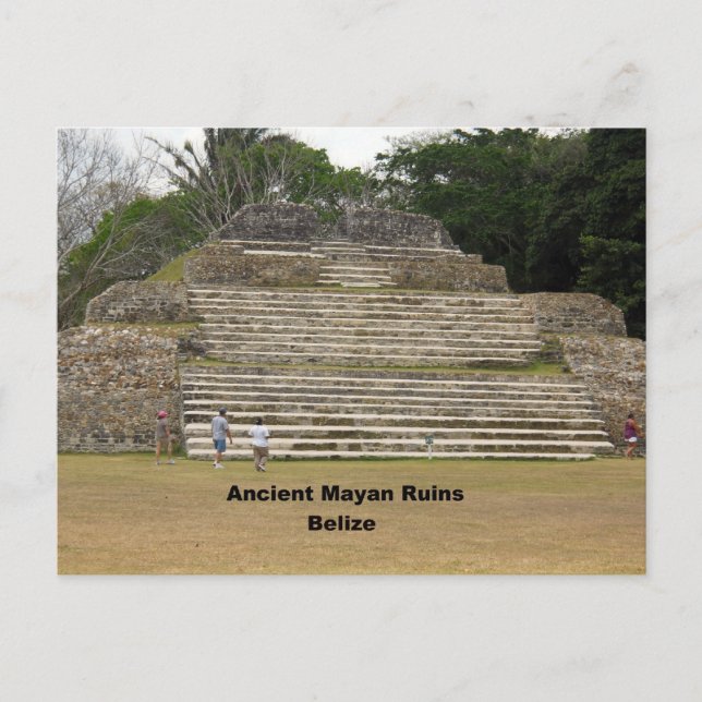 Ancient Mayan Ruins, Belize Postcard (Front)