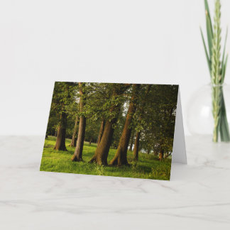Ancient Oak Woodland Print Card