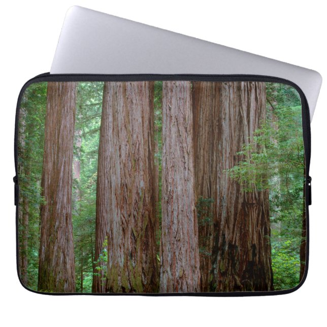 Ancient Redwoods Towering Laptop Sleeve (Front)