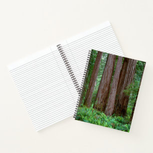 Ancient Redwoods Towering Notebook