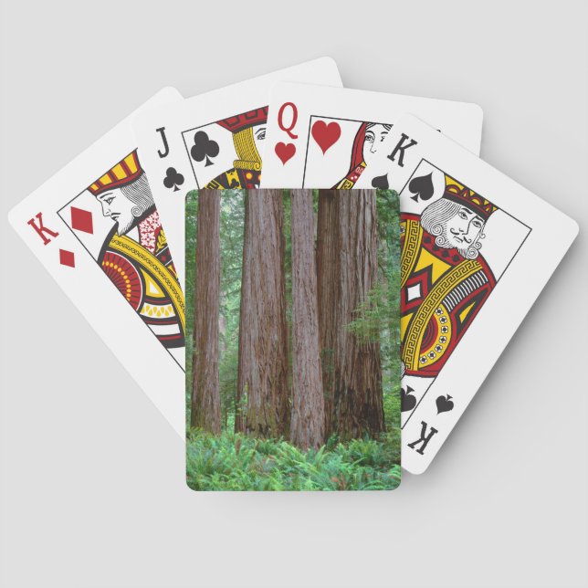 Ancient Redwoods Towering Playing Cards (Back)