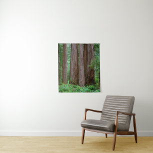 Ancient Redwoods Towering Tapestry