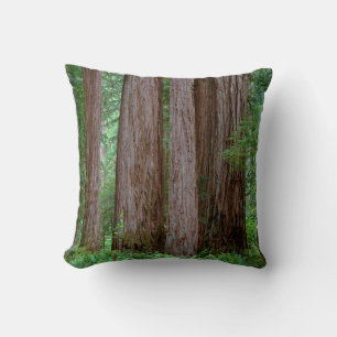 Ancient Redwoods Towering Throw Pillow
