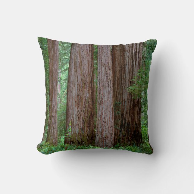 Ancient Redwoods Towering Throw Pillow (Front)