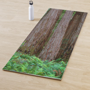 Ancient Redwoods Towering Yoga Mat