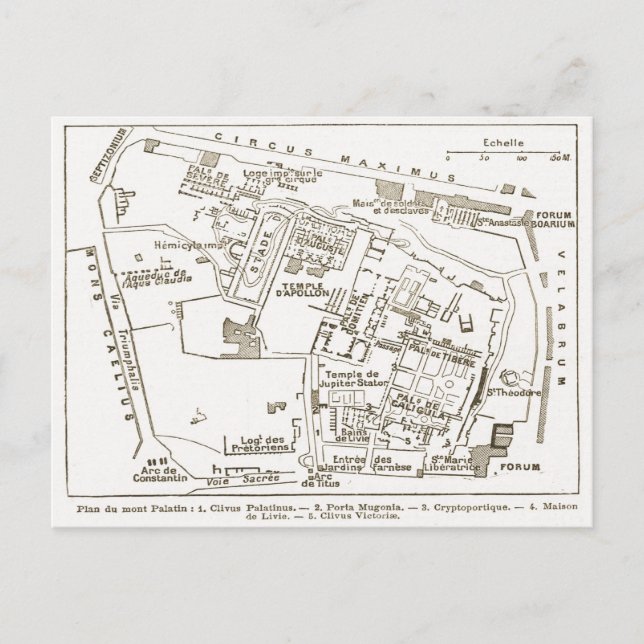 Ancient Rome, Palatine Hill Postcard (Front)