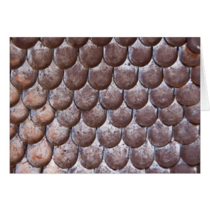 Ancient scale armour