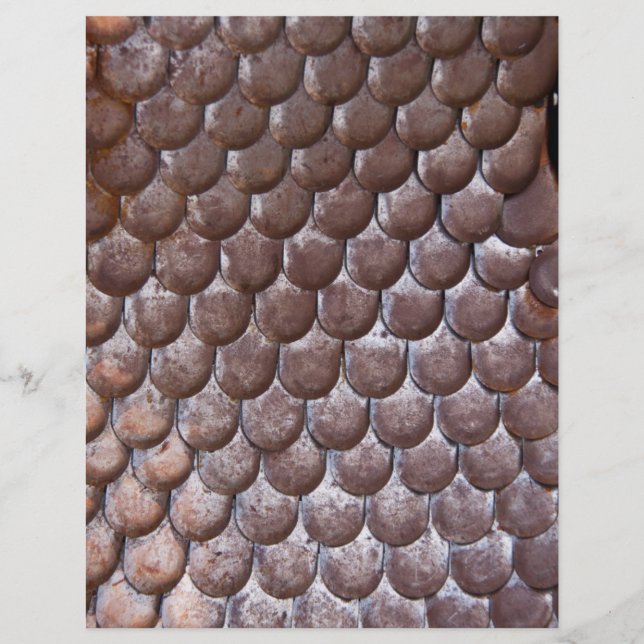 Ancient scale armour flyer (Front)