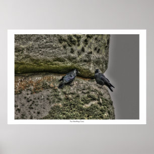 Ancient Site of Stonehenge & Two Crows Poster