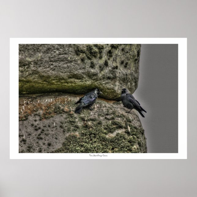 Ancient Site of Stonehenge & Two Crows Poster (Front)
