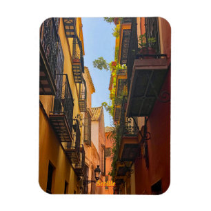Ancient street in Seville, Spain, travel Magnet