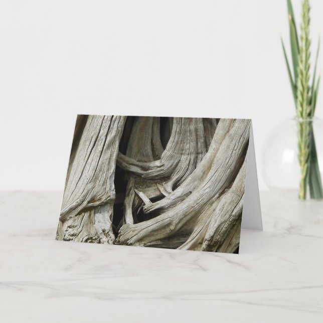 Ancient Tree Heart Card (Front)