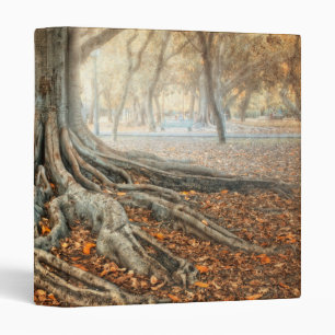 Ancient Tree Roots Binder