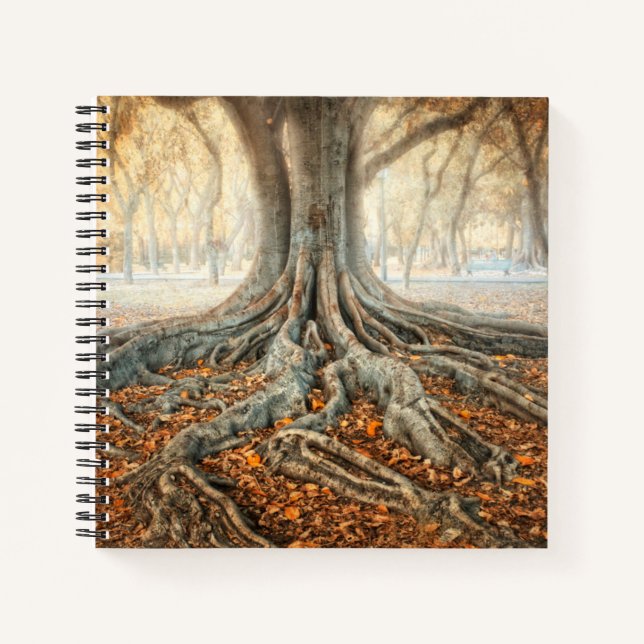 Ancient Tree Roots Notebook (Front)