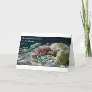 Ancient Waters Card Job 38:16