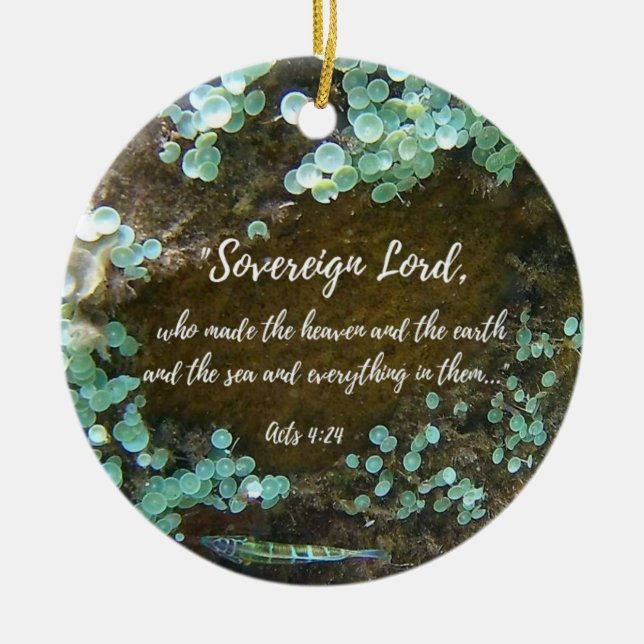 Ancient Waters Ceramic Ornament (Front)