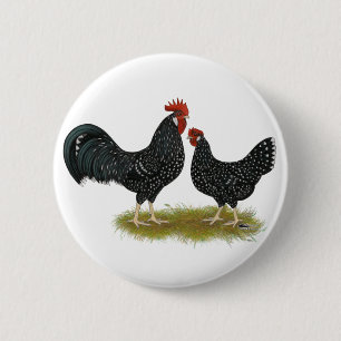 Ancona Chickens 2 Inch Round Button