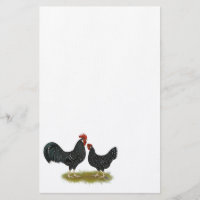 Ancona Chickens