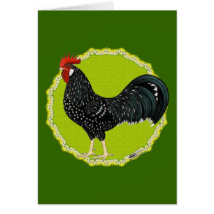 Ancona Rooster
