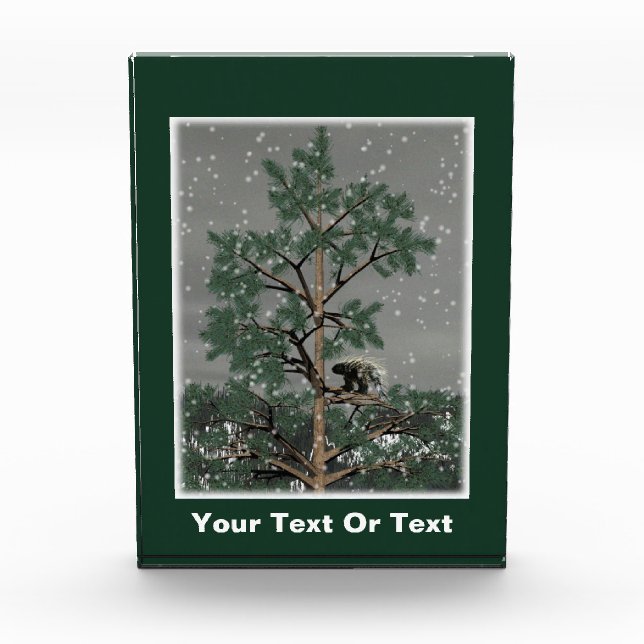 And A Porcupine In A Pine Tree Photo Block (Front)