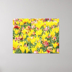 And Life Goes On Canvas Print