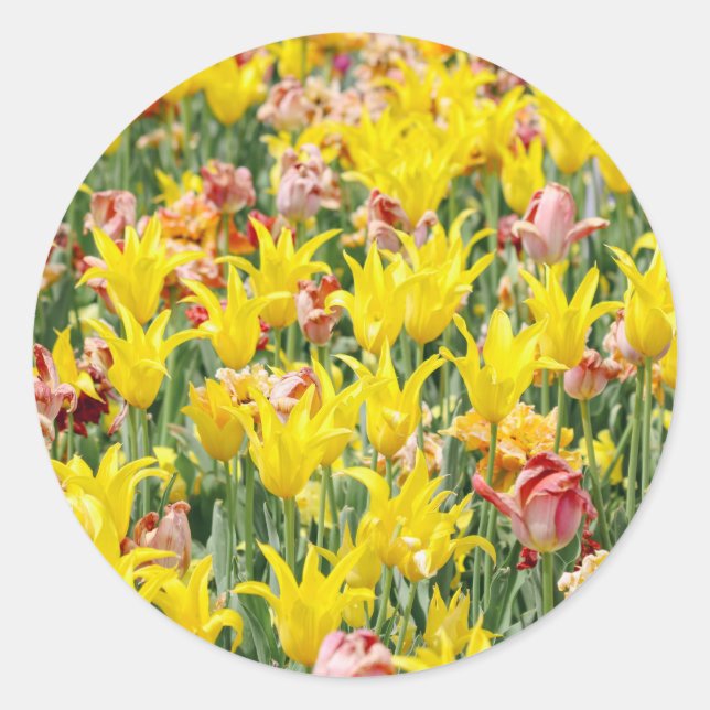 And Life Goes On  Classic Round Sticker (Front)