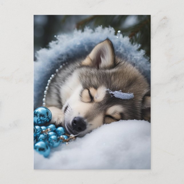 And to all a good night  postcard (Front)