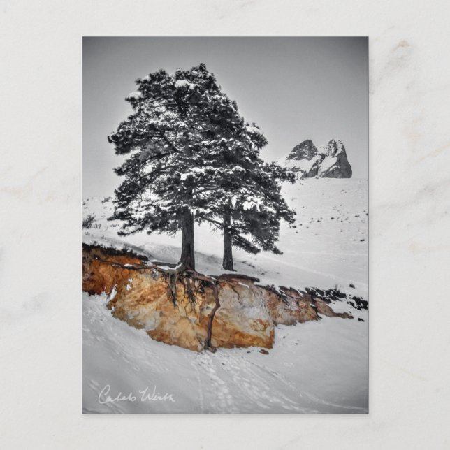 And Yet it Grows Postcard (Front)